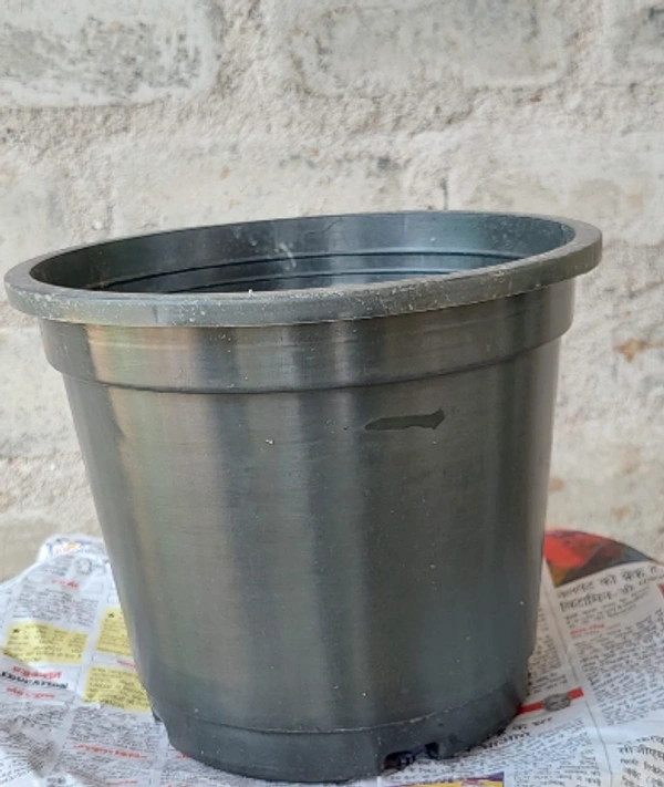 Black Plastic Pot 8 Inch